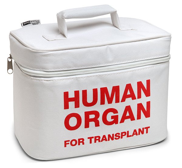 organ-transport-lunch-cooler-ww