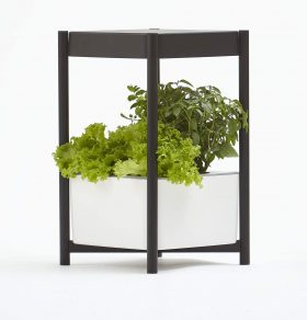 End Table Indoor Growing System